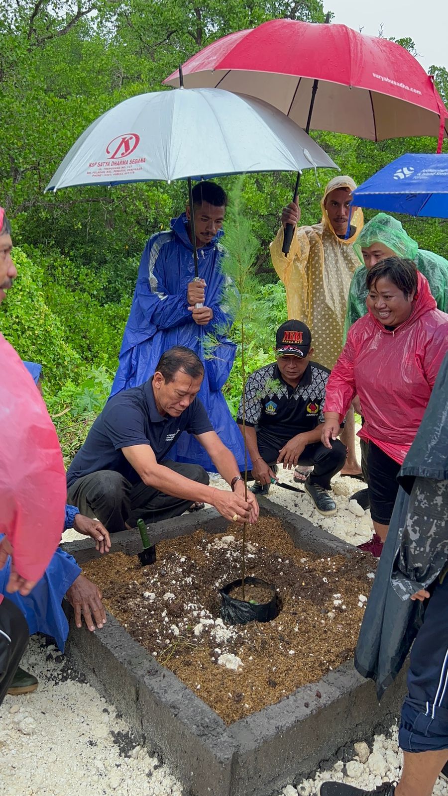 Dukung Gotong Royong Sad Kerthi, KBS Kuta Selatan Lakukan Penanaman Pohon di Tahura Ngurah Rai
